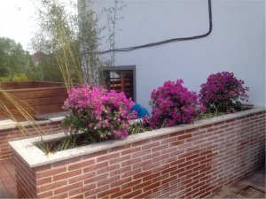 旺山精品酒店，美式屋頂花園效果圖